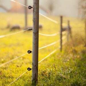 Electric Fencing/Fencing